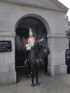Horse Guard